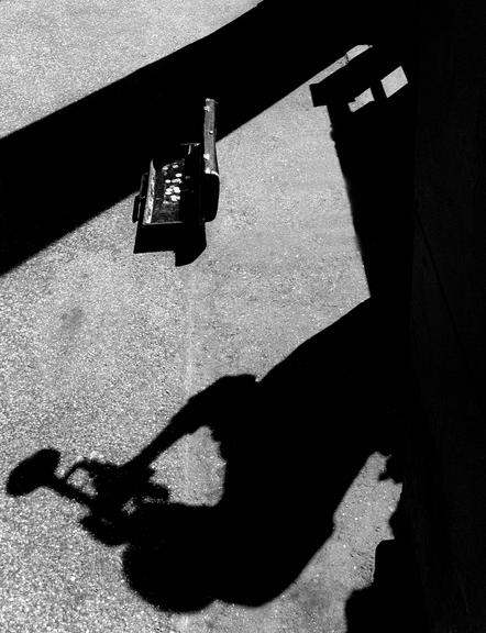Boettcher Michael - Trumpet in the shadow - Annahme