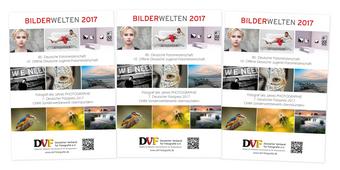 DVF Bilderwelten 2017