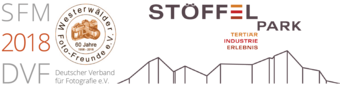SFM 2018 Logo