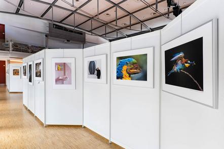 DFM-Ausstellung 2021 in Dillingen