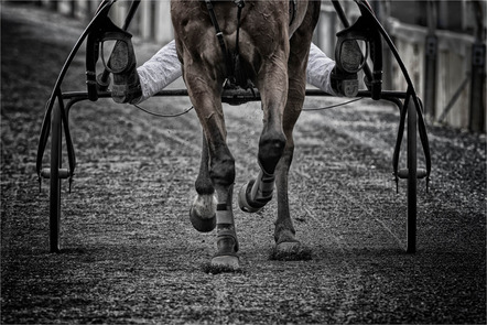 Platz 21 - Felgenträger Thomas - Lichtmaler Niederrhein - horse running