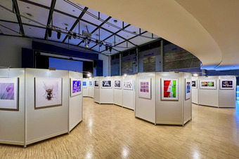 Ausstellung im Stadtsaal Dillingen