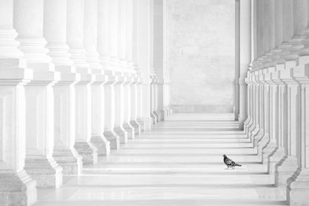 Pinkl Albert J. - Foto-Desperados - Walking dove - Annahme