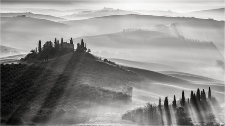 Bruder, Ursula - 080001 - Tuscany morning shadows - Urkunde